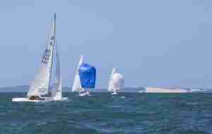 Etchells